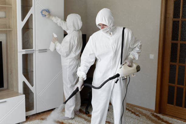 Best Professional Mold Removal  in Wailuku, HI